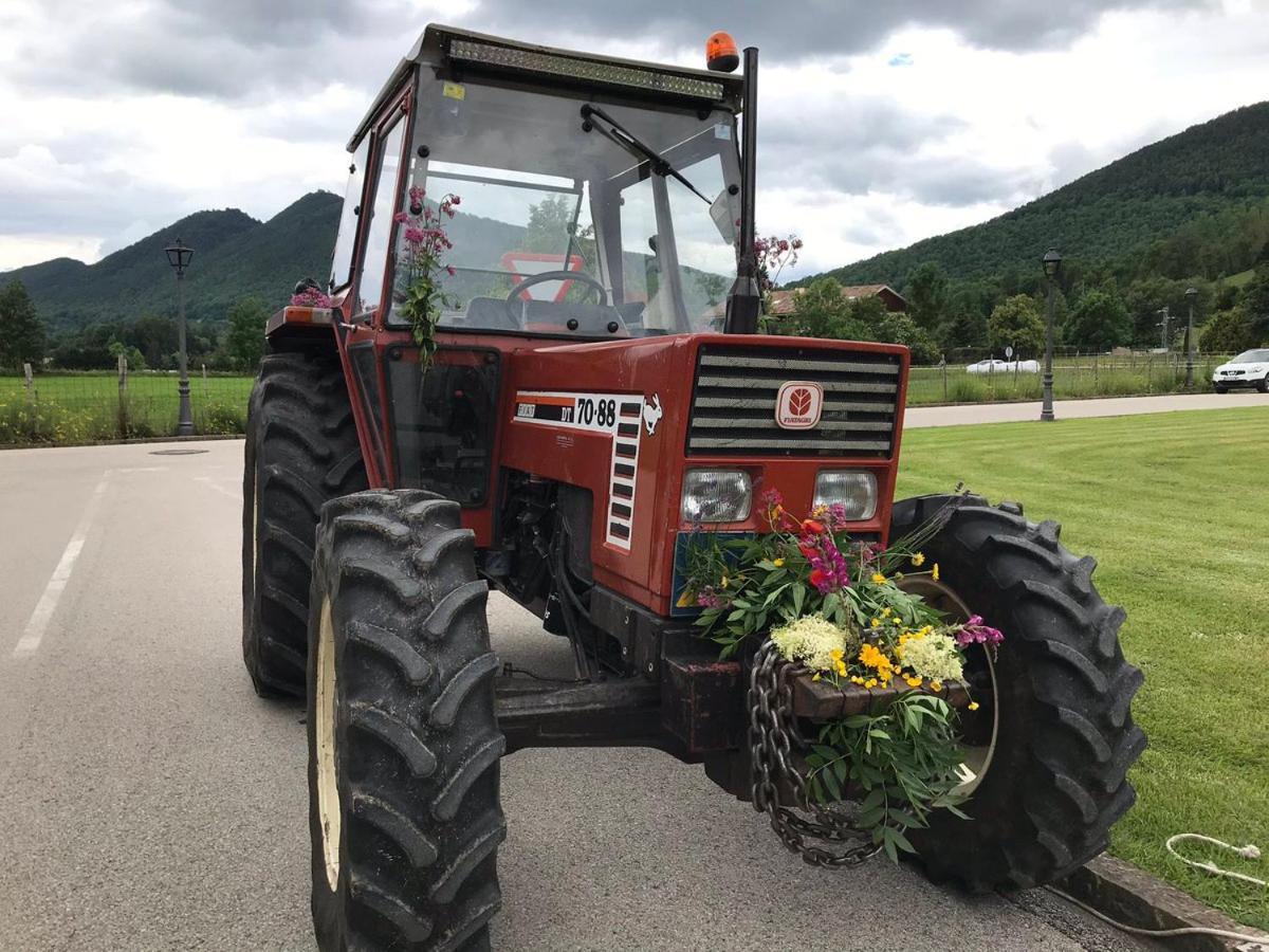Llanars, En Vall De Camprodon Vistas Montana De Frente, Ascensor, Orientacion Sur, Chimenea, Wifi, Mollo Park, Vallter, Hipica, Golf Eksteriør billede